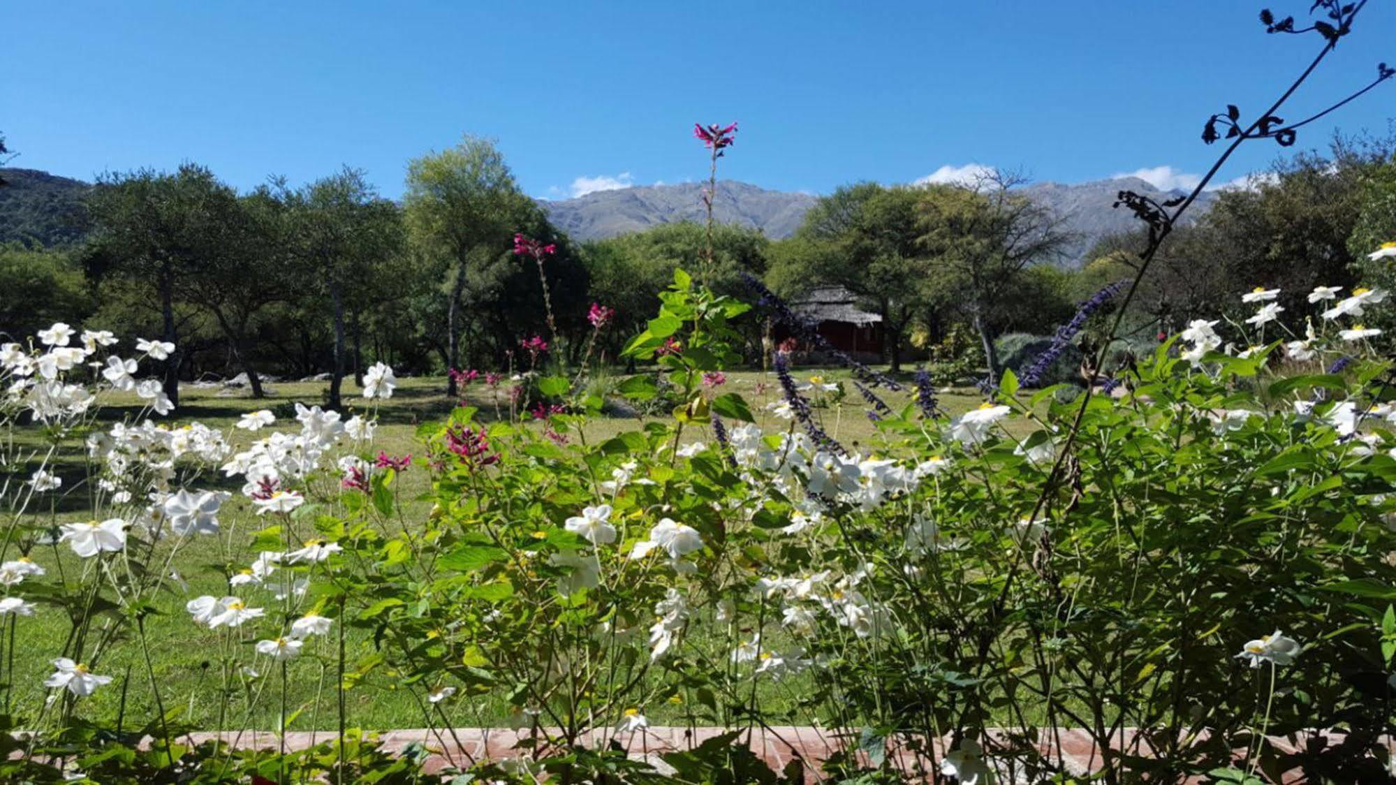 Las Dalias Villa Las Rosas Buitenkant foto